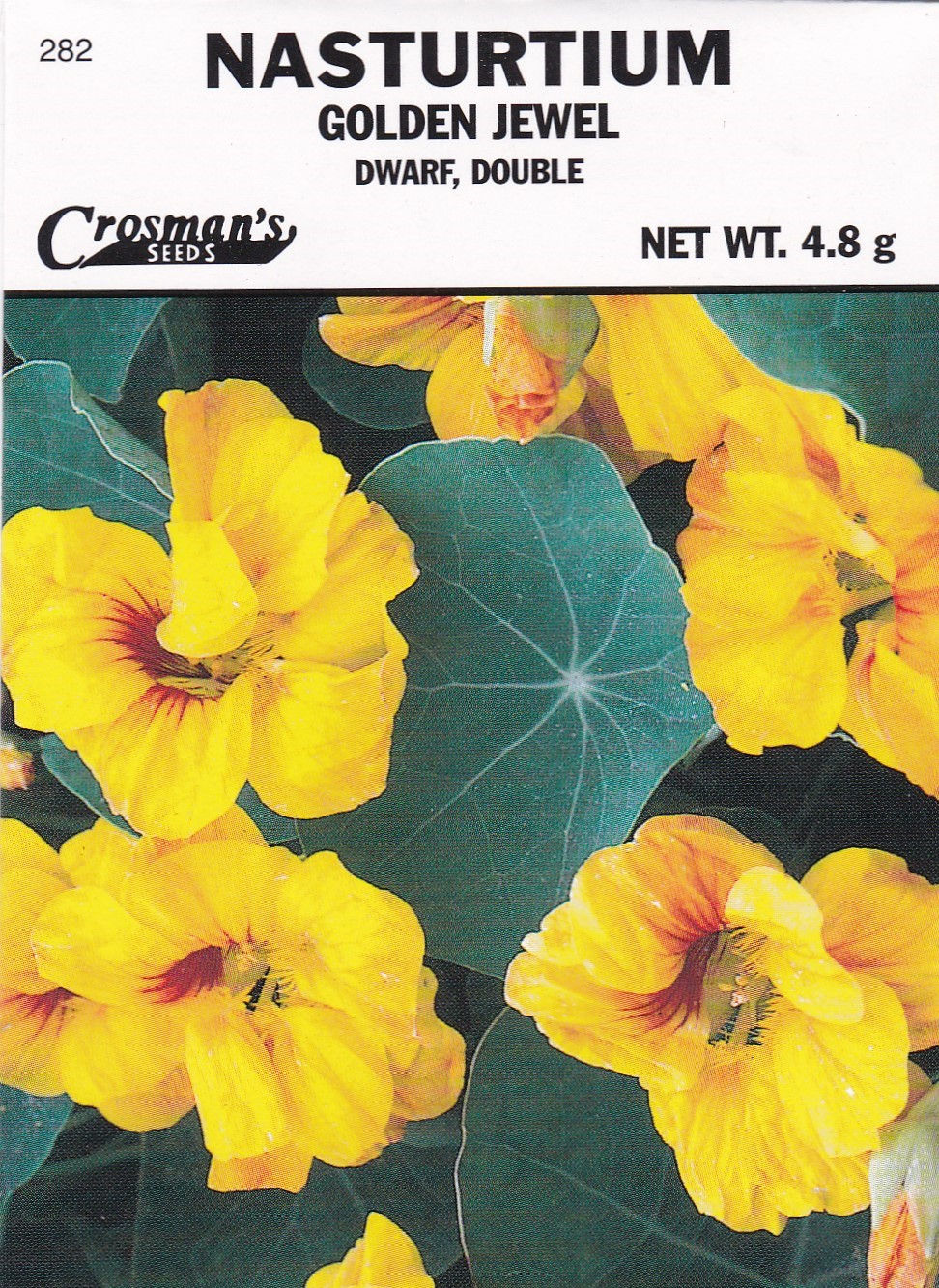 Nasturtium Golden Jewel Dwarf Double