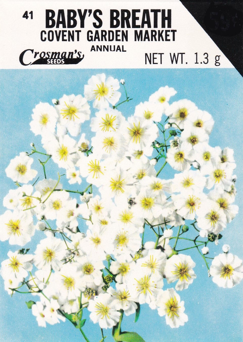 Baby's Breath Covent Garden Market Annual