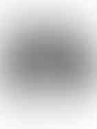 News Article News 12