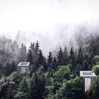 A FOREST FOR REST. Un Proyecto del estudio de arquitectura COBO - DONOSO Arquitectos, Arquitectos en Valladolid
