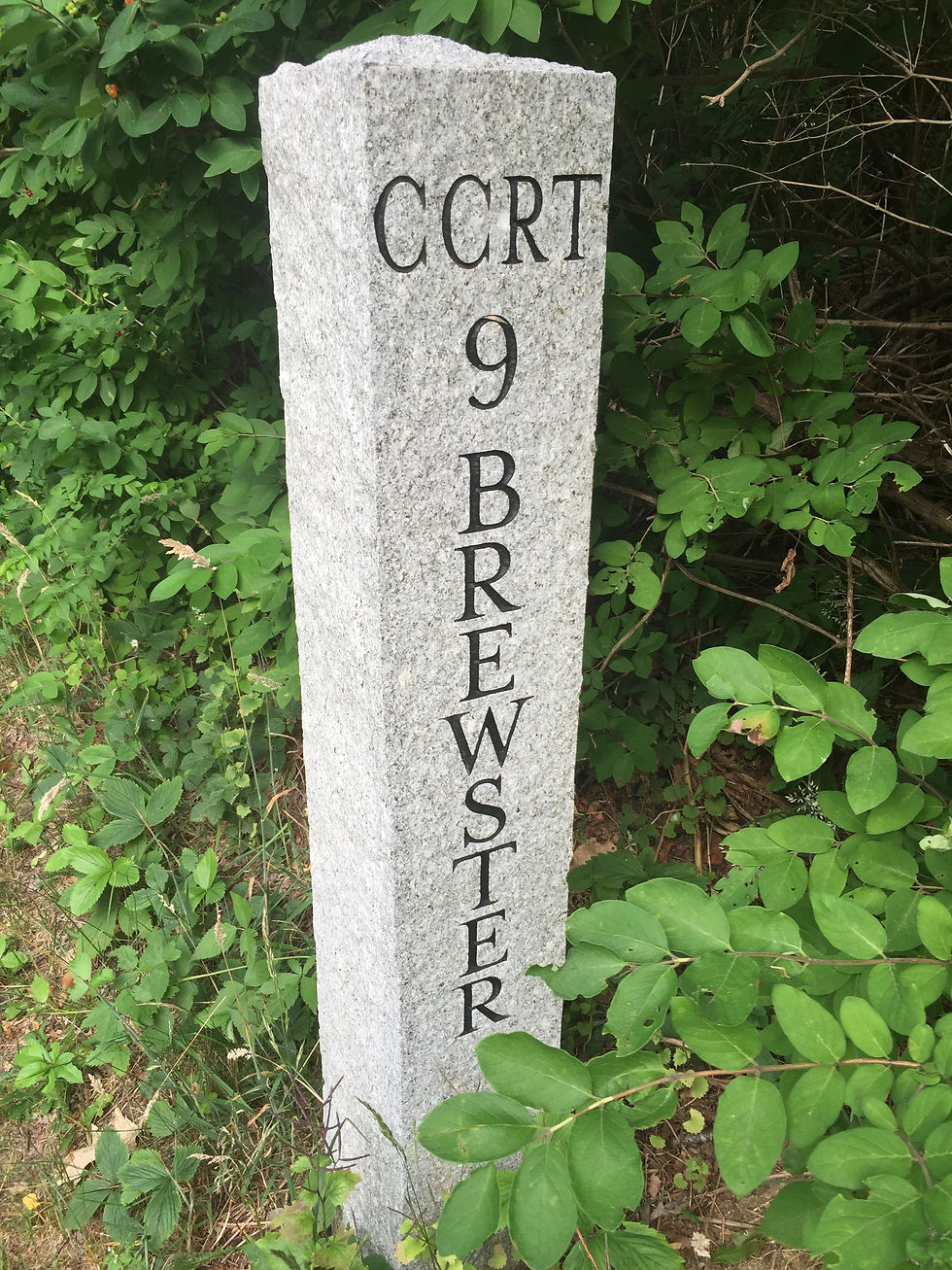 Rail trail marker