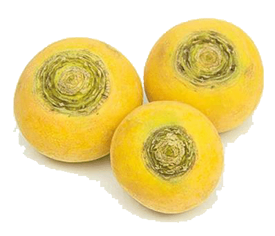Graines De Navet Jaune 'Boule D'Or' - Sachet De 4g (environ 1900 Graines) - Légume Racine Rond, Saveur Sucrée, Résistant Au Froid