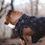 Thumbnail: Black Tie-dye Dog Denim Jacket