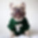 french bulldog wearing personalised HB green tee