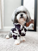 howie _phoebe_howie_theshichons - de840be2-7298-43ba-baea-364f19a66313.jpeg