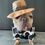 Thumbnail: 'Holy Cow' Print Dog Shirt