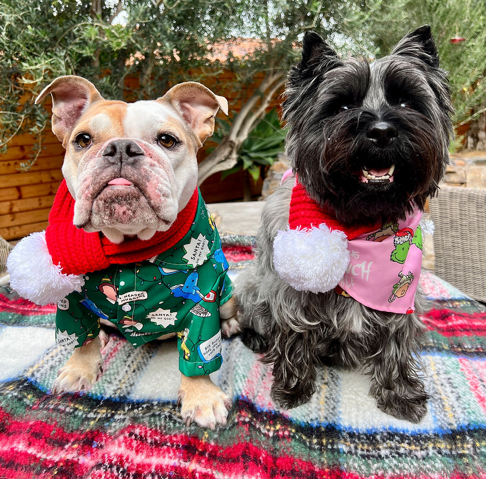 Thumbnail: Buddy the Elf Christmas Shirt
