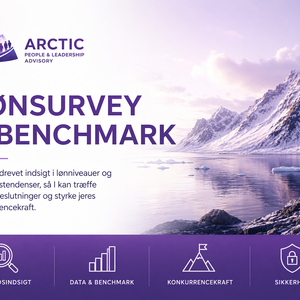 Lønsurvey & Benchmark