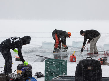 Tipping Your Divemaster: It's Not Always About the Money