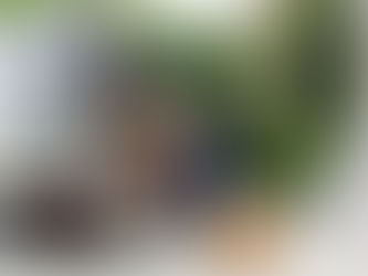 Moving Made Simple: Why MUV Relocation LLC Is Denver, CO’s Most Trusted Moving Company