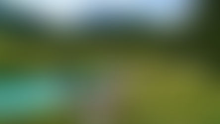 Toeristen bezoeken het natuurreservaat Zelenci in Slovenië