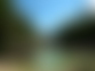 Slovenië’s Kristalheldere Geheim: Het Zuiverste Water ter Wereld