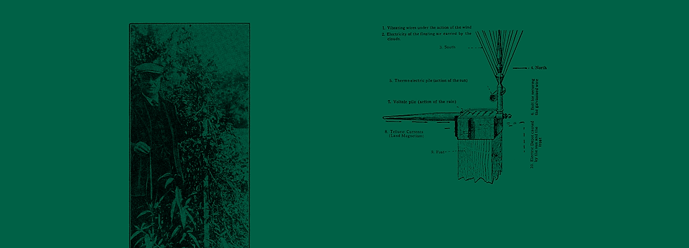 Electroculture-Organic-Natural-Gardening-BG-6.png