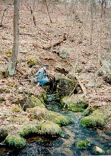 080331_10_CaveSpring.jpg