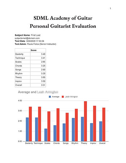 Personal Guitarist Evaluation Results -