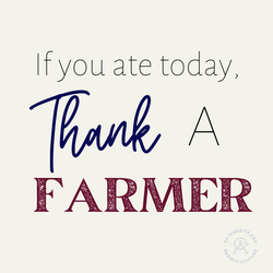 Copy of Social Media Freebies (2)