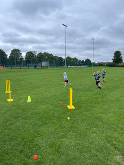 c37d03a7-51ee-40ff-9d01-eba01fd63ba3