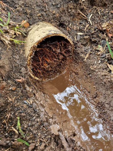 Penrith Pipe Relining Services