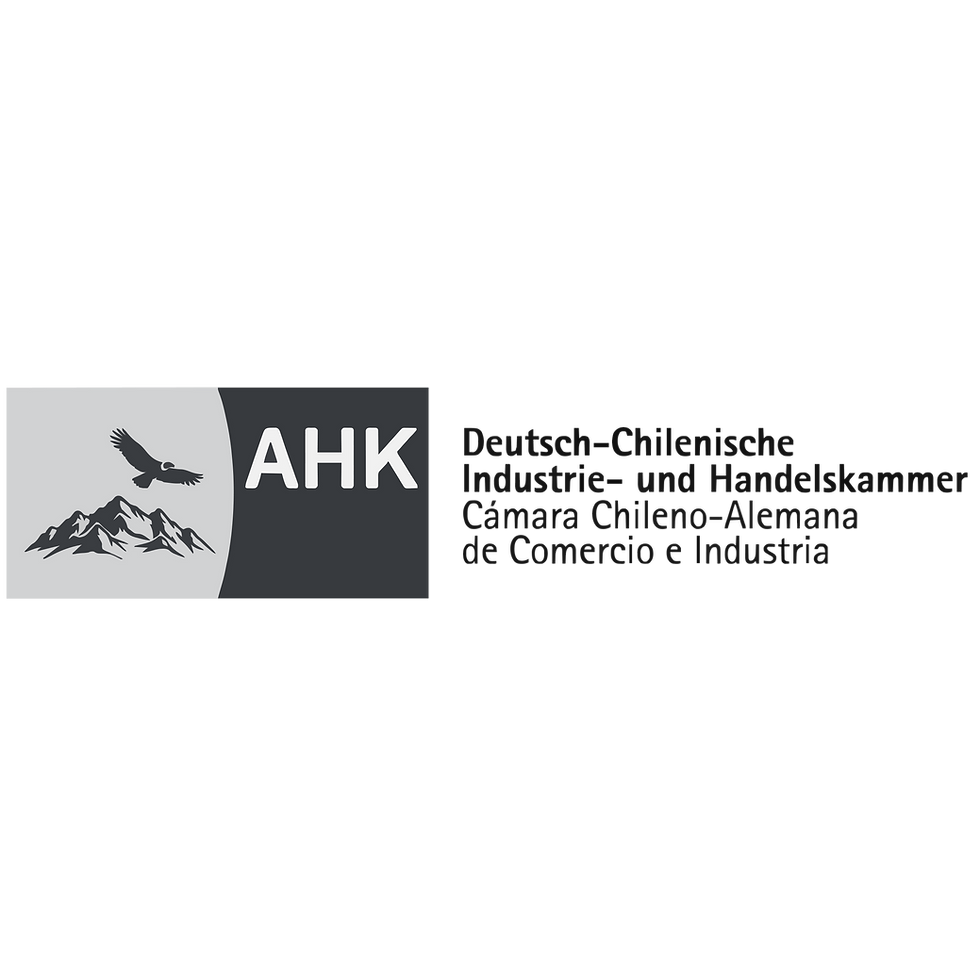 ahk_chile copia