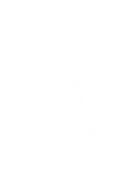 Illustration pinceau main blanc