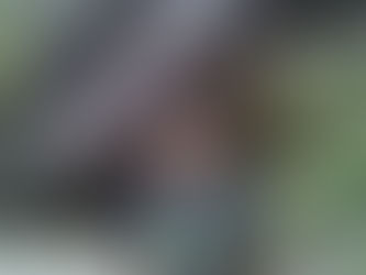 A minimalist trip to the Valley of Wonders!