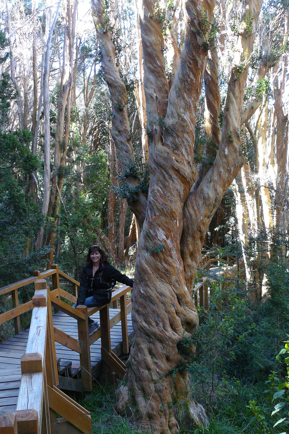 Parque Nacional dos Arrayenes.