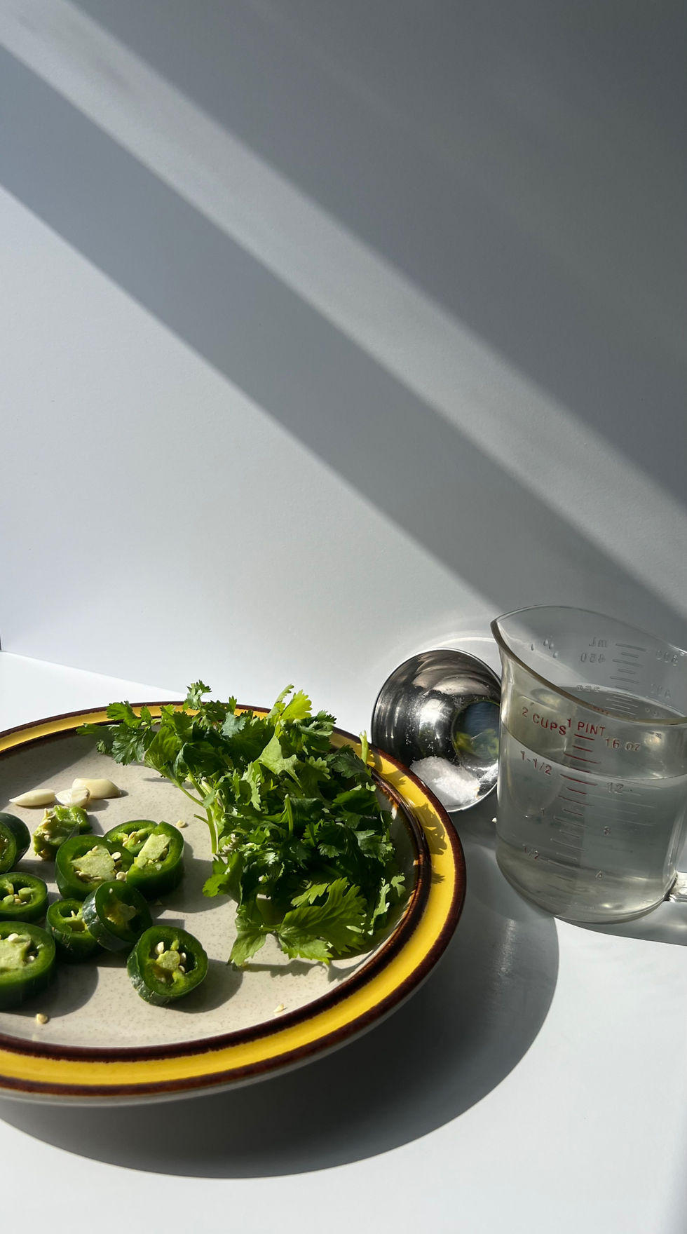 Rodajas de chile, dientes de ajo y hojas de cilantro sobre un plato, junto a un vaso medidor con agua y sal, todo bajo una luz intensa.