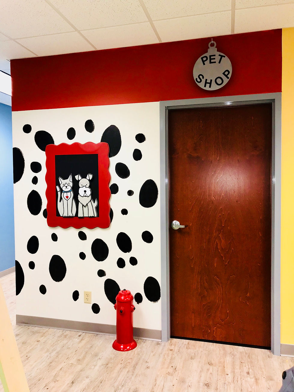 The Pet Shop, BrainPower Sensory Gym