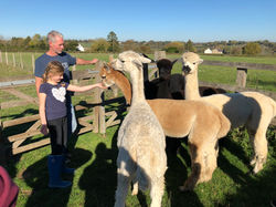 Feeding Time @BVC