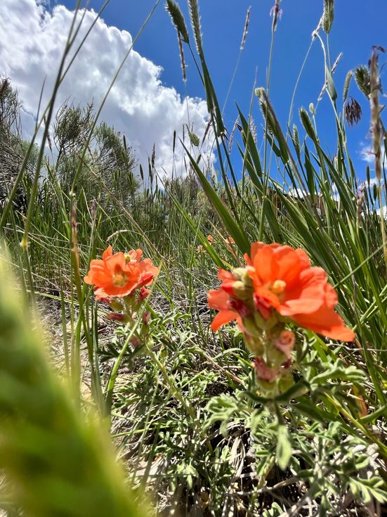 beautiful earth