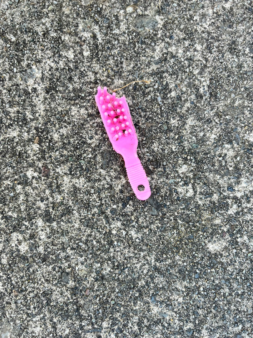the tales this brush could tell