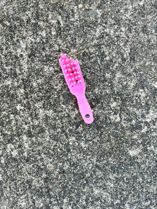 the tales this brush could tell