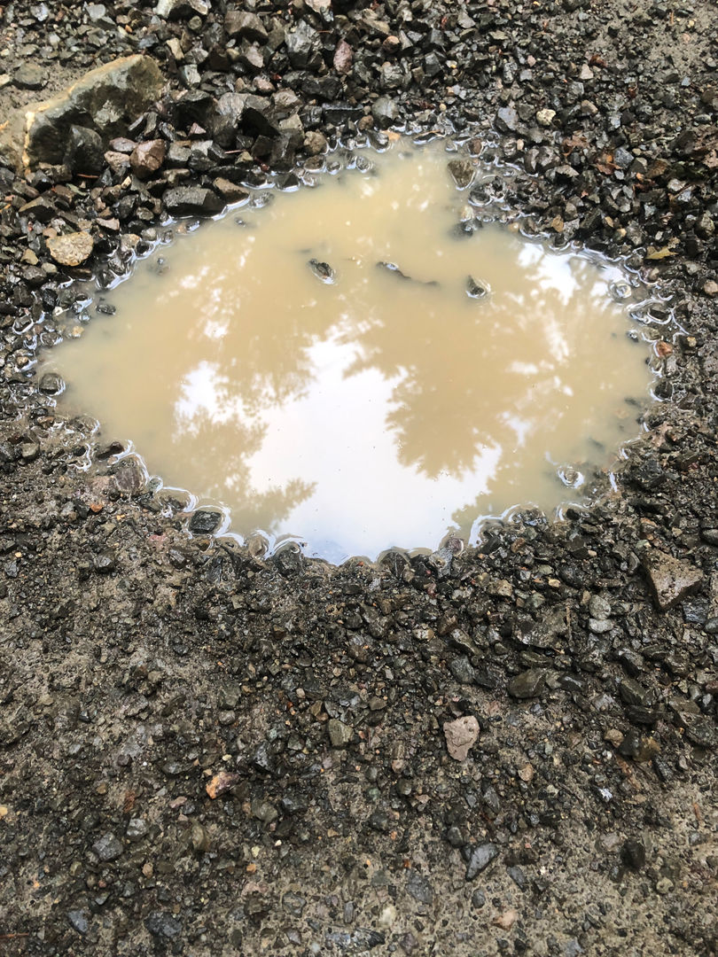 happy puddle