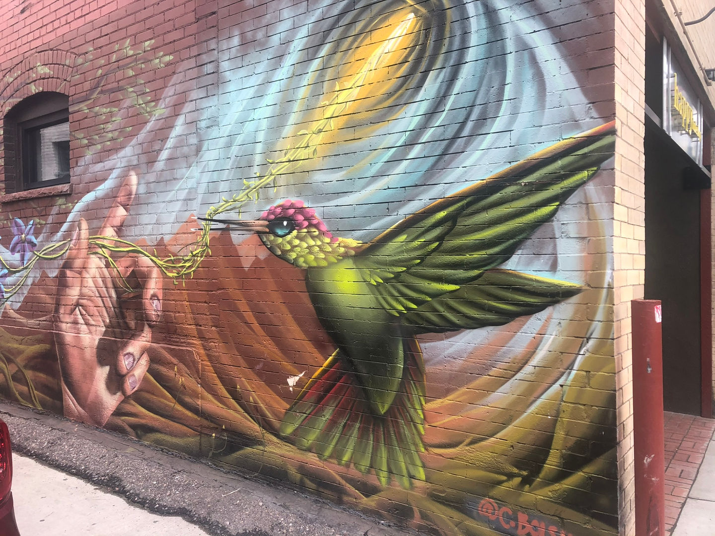 my mom sends me hummingbirds