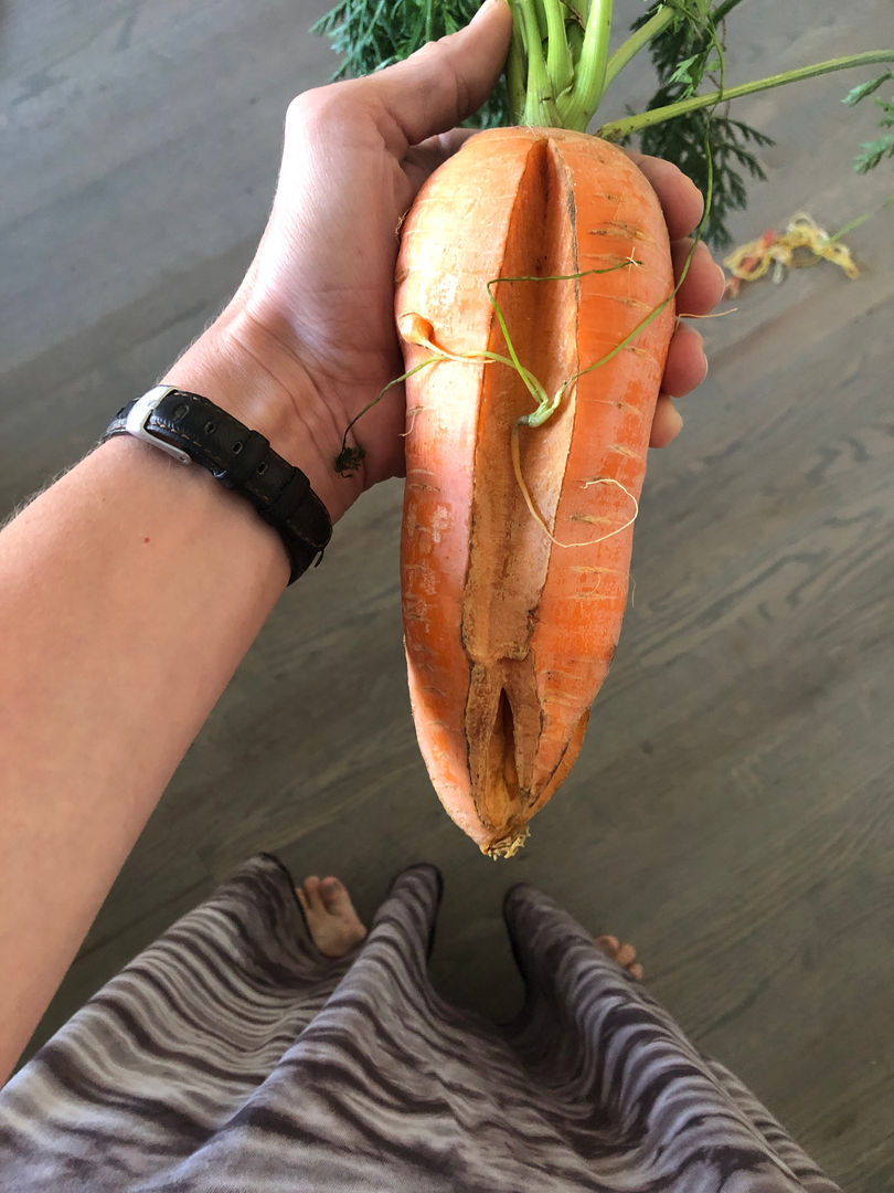 big boi