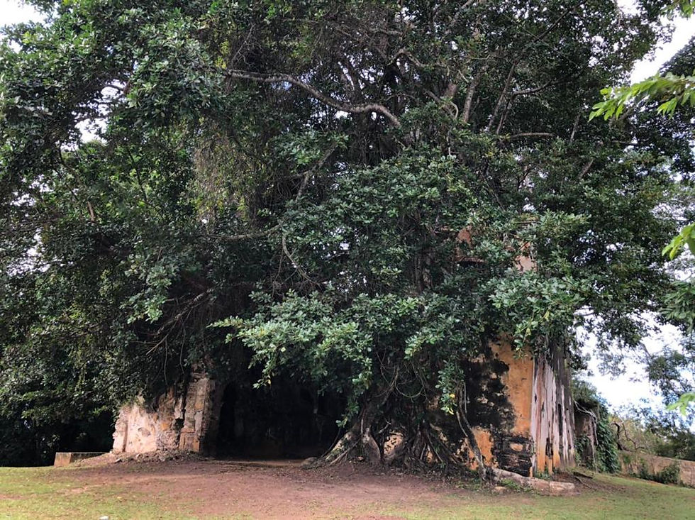 Igreja do Nosso Senhor da Vera Cruz - 2019