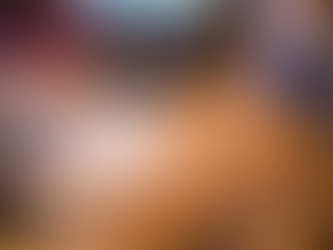 What Services Are Typically Included with Professional Cat Sitting?