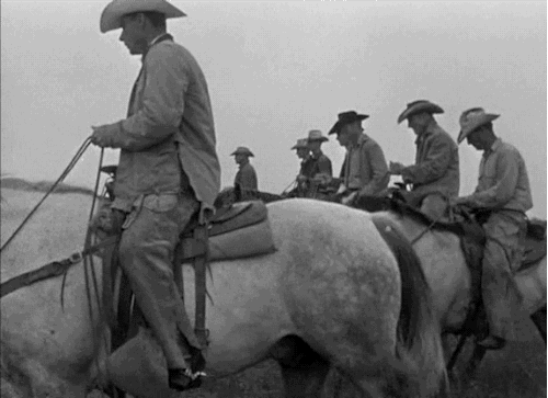 cowboys on horses.gif