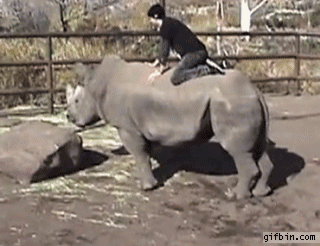 This Aint My First Rodeo! Actually, it was...