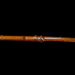 A Grotesque Folk Art Caricature Gentleman Walking Cane Circa 19th Century.
Item: 154