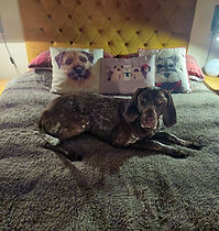 IMG-20230921-WA0130.jpg