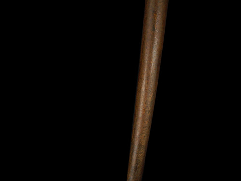 A Pizzle Walking Cane C. 1902 Item: 147