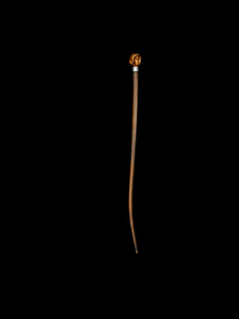 A Pizzle Walking Cane C. 1902 Item: 147