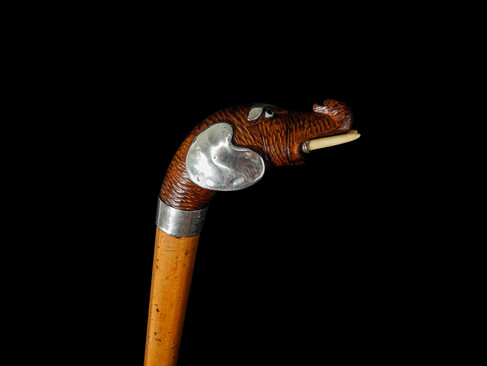 An Elephant Head Walking Cane (Robert Pringle) C. 1902 Item: 144