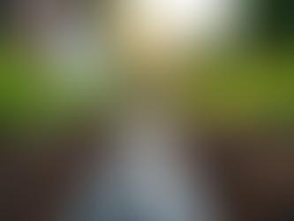 Effective Drainage Solutions for Your Pigeon Forge TN Property