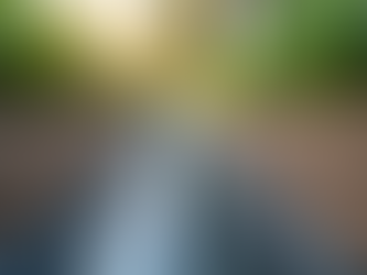 Choosing Between French Drains and Dry Creek Beds for Your Landscape