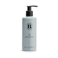 Björk Ag Silver Conditioner