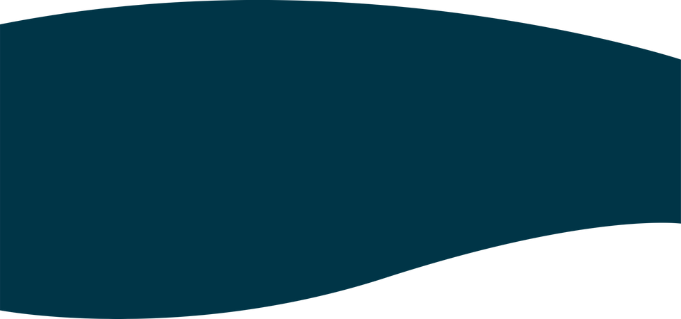 overlay 2.png