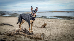 PXL_20221025_133315706.PORTRAIT