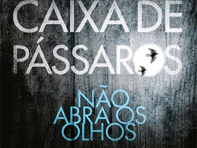 Resenha: CAIXA DE PÁSSAROS